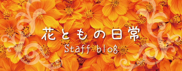 花ともの日常　スタッフブログ